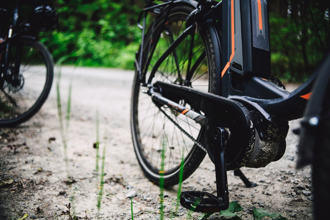 Benefits of using an electric bike charger SANS 1 Brand ebike charger in US